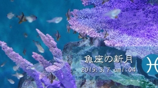 魚座新月20190307