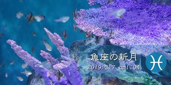 魚座新月20190307