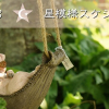 1908星模様スケジュール画像