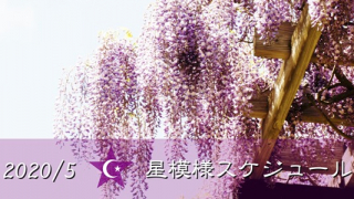 2005星模様スケジュール